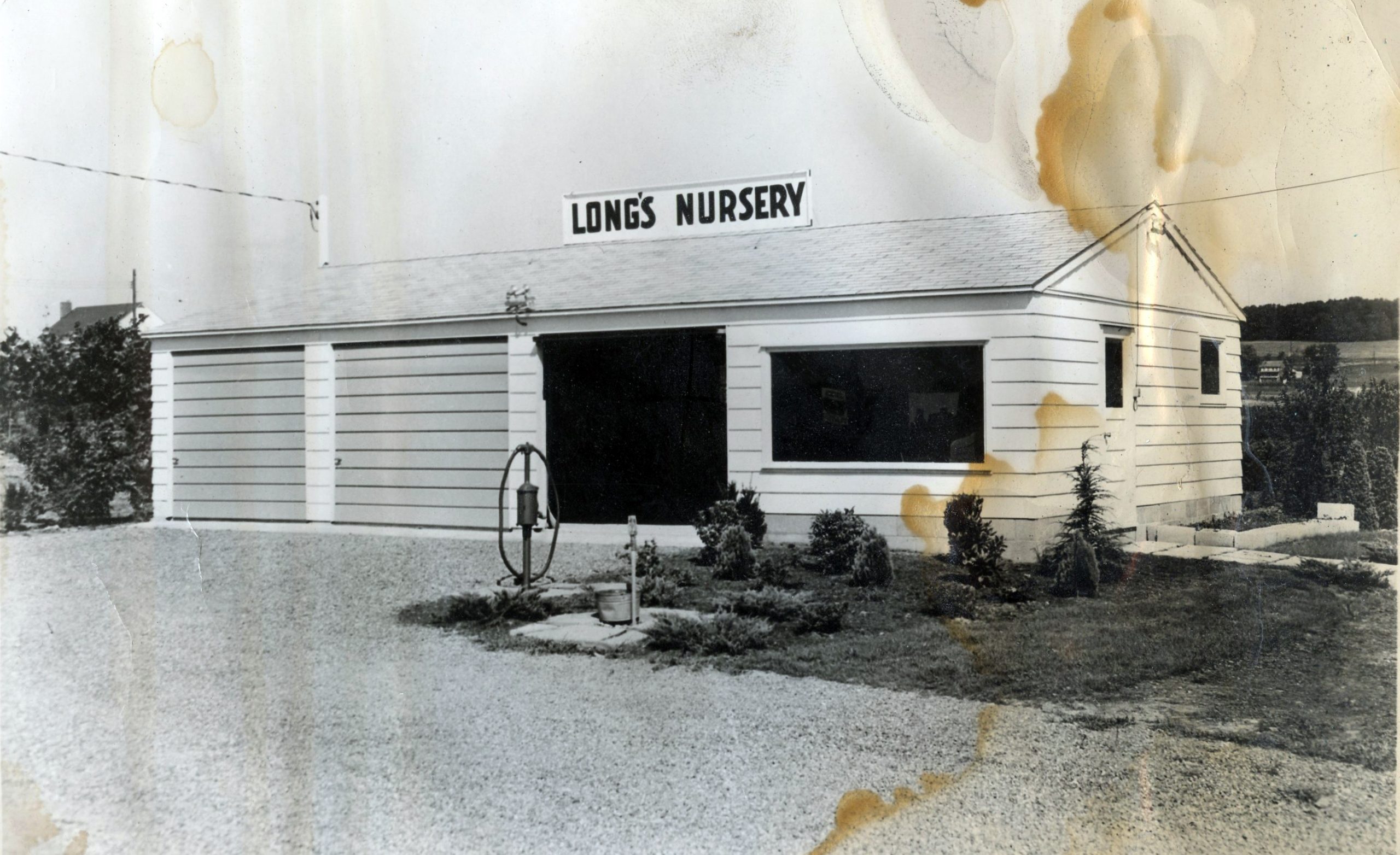 Long Nursery and Garden Center since 1948